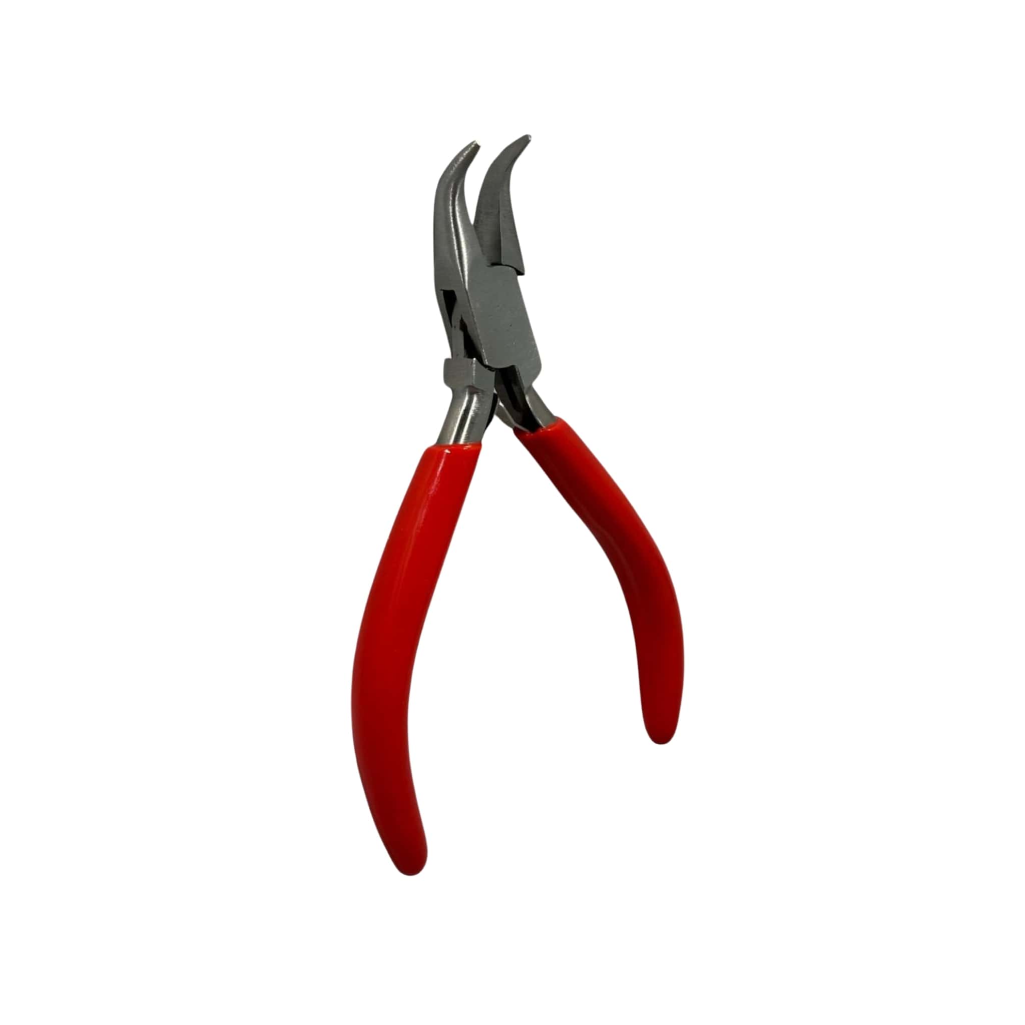 Ön Papağan Penseler Tüm Çeşitleri